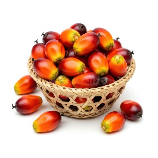 Fresh Palm Fruits